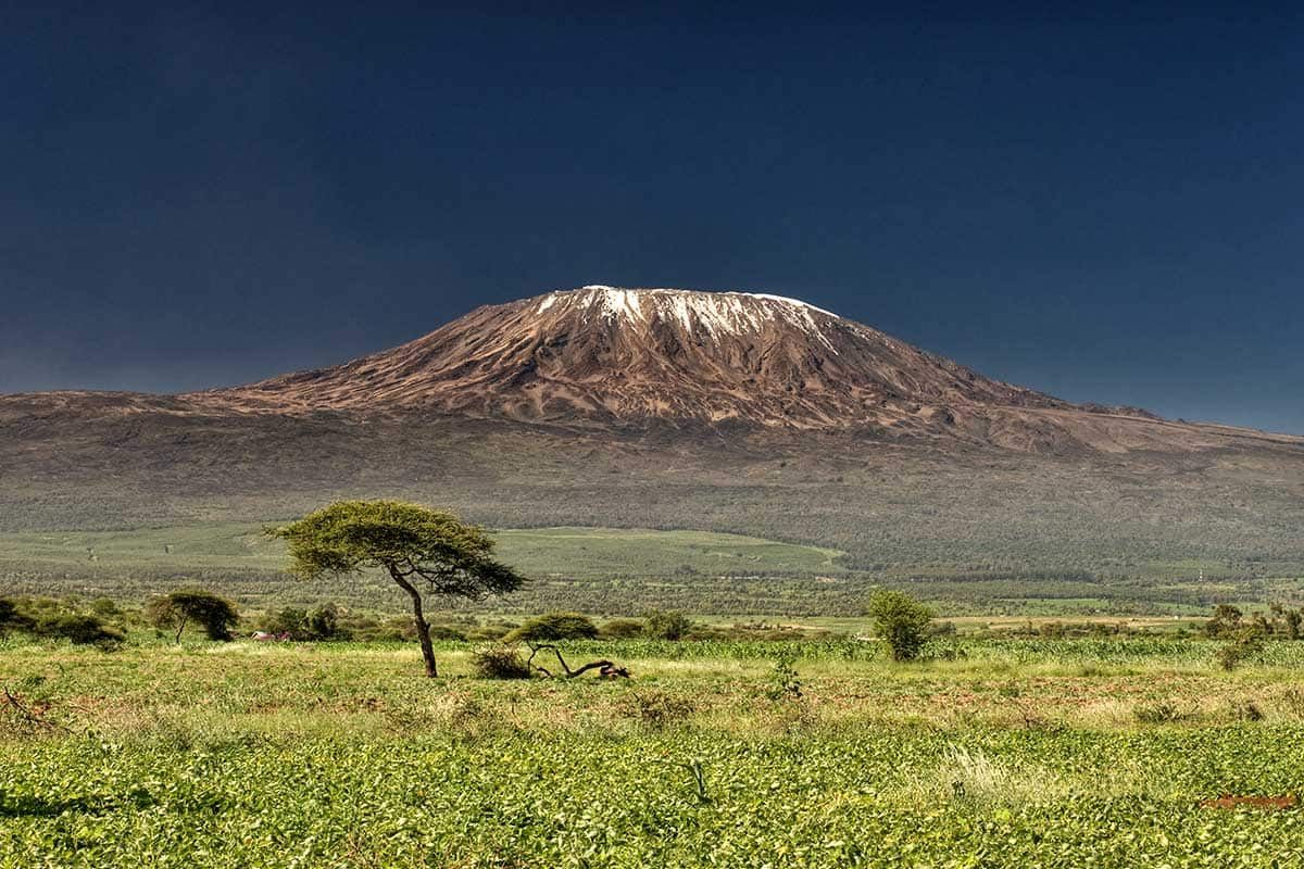 Circuit Safari Kilimandjaro pas cher photo 9