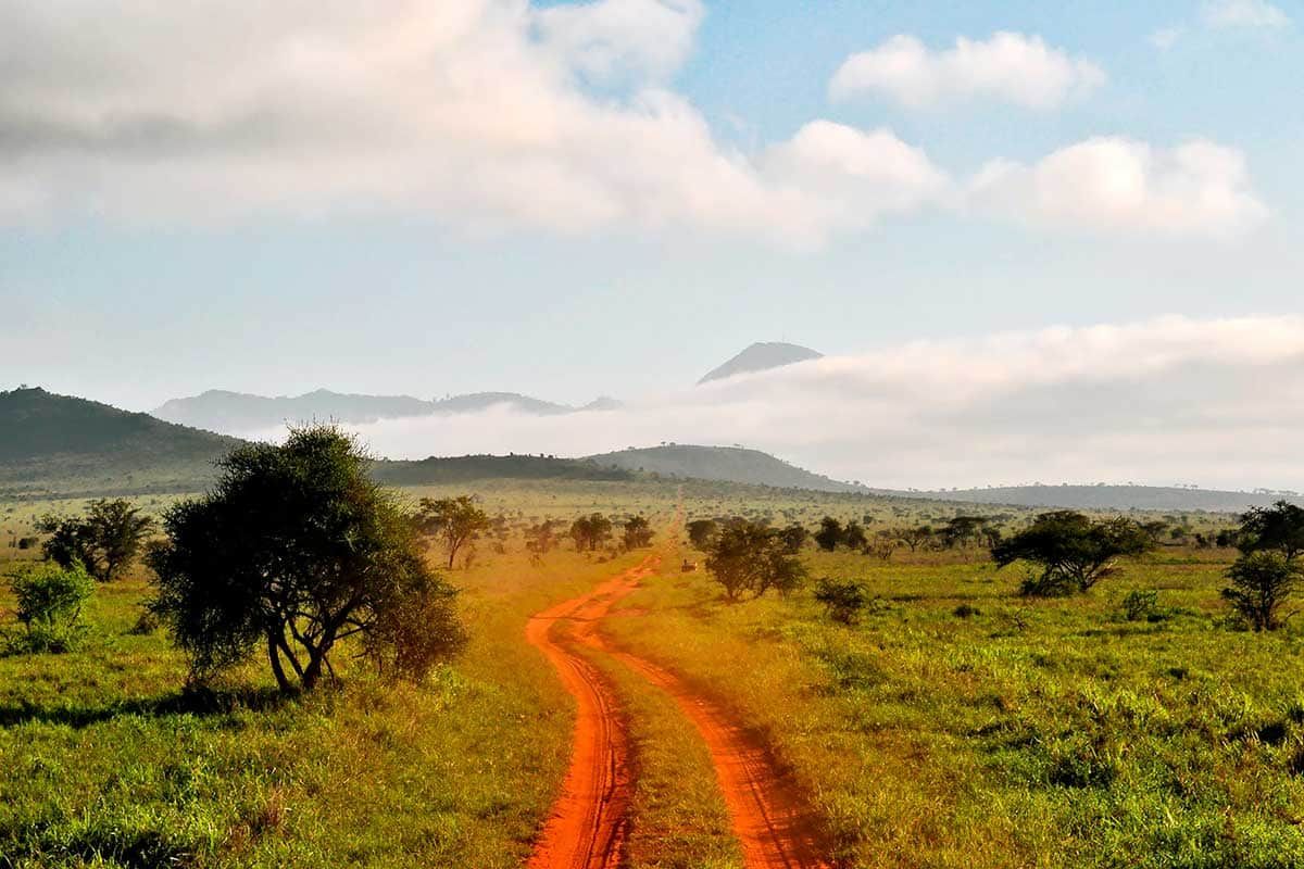 Circuit Safari Kilimandjaro pas cher photo 12