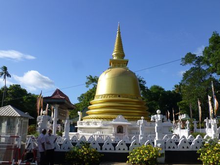 Explorations du Sri Lanka 16J/13N - 2020 pas cher photo 3