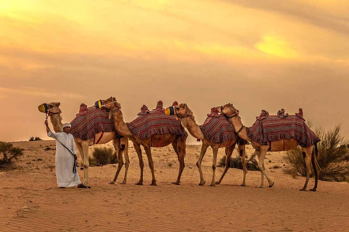 Circuit Le royaume des sables pas cher photo 1