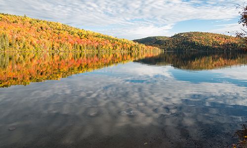LUMIERE CANADA EST pas cher photo 7