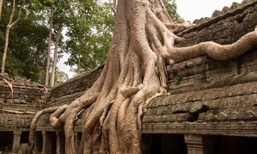 1ER REGARD VIETNAM & CAMBODGE pas cher photo 12