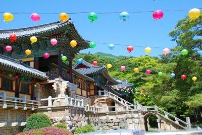 Corée, au pays du Matin Frais pas cher photo 5