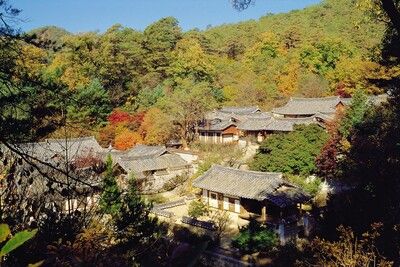 Corée, au pays du Matin Frais pas cher photo 9