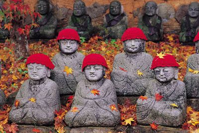 Corée, au pays du Matin Frais pas cher photo 12