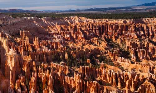 1ER REGARD CALIFORNIEN pas cher photo 6