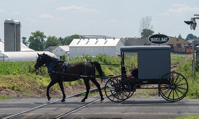 INDISPENSABLE COTE EST + ETATS DU NORD pas cher photo 3