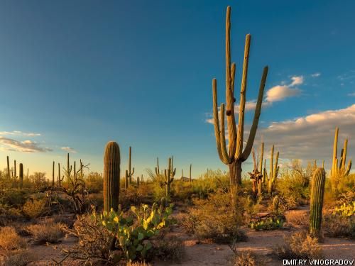 Circuit Entre civilisations aztèque et maya 4* pas cher photo 2