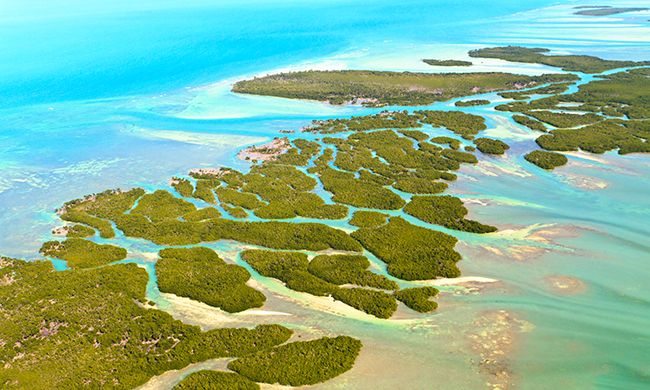 1ER REGARD FLORIDE & BAHAMAS pas cher photo 1