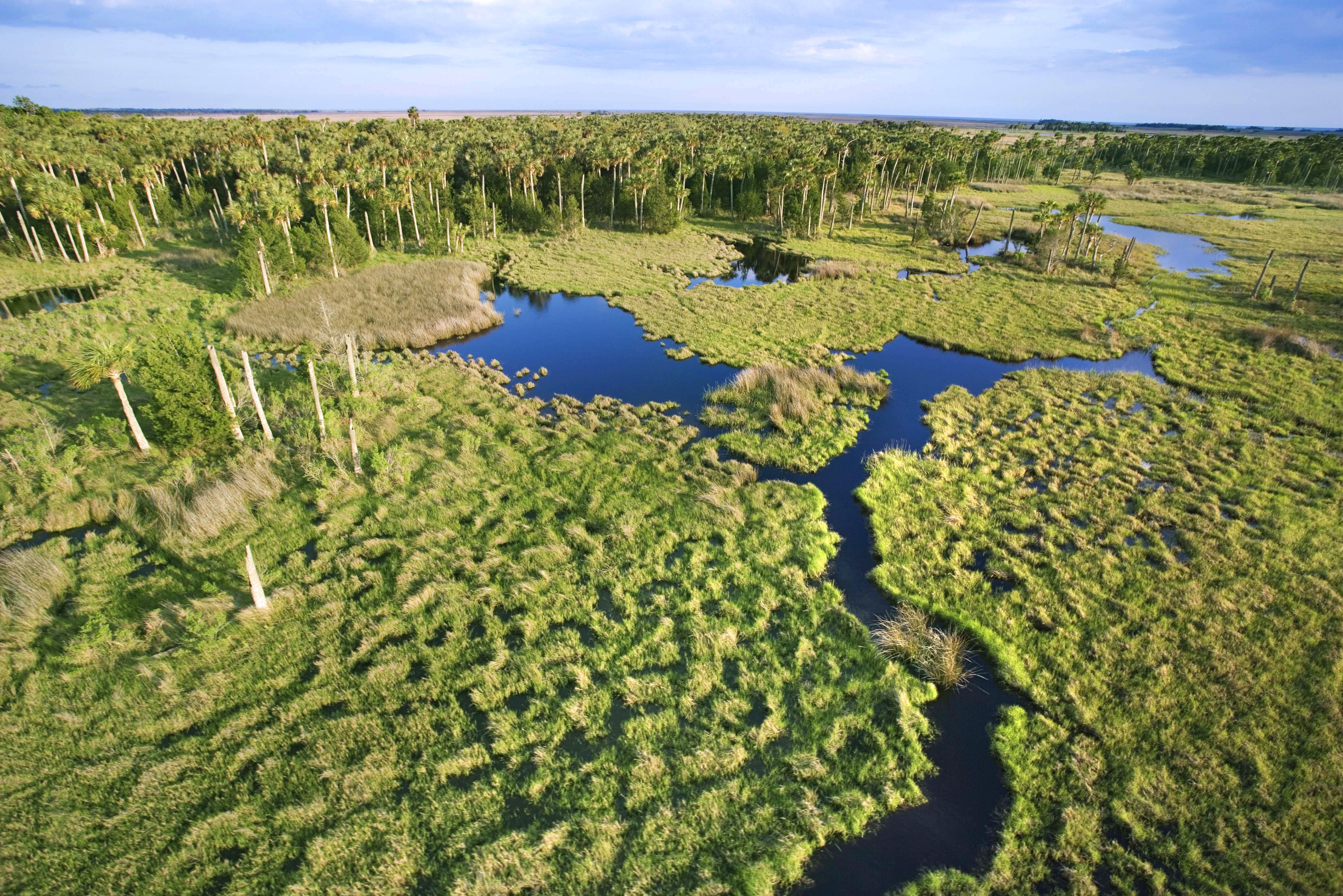 1ER REGARD FLORIDE & BAHAMAS pas cher photo 6
