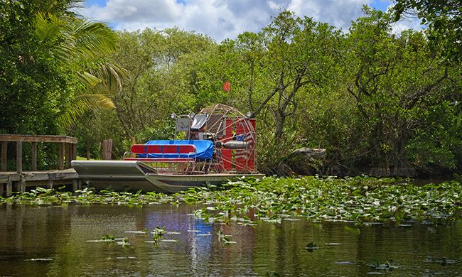 1ER REGARD FLORIDE & BAHAMAS pas cher photo 11