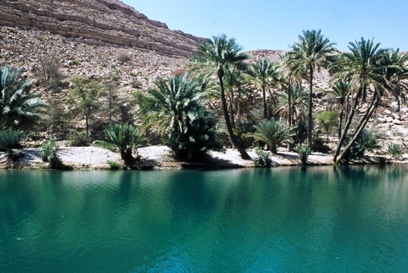 A LA RENCONTRE D 'OMAN pas cher photo 3