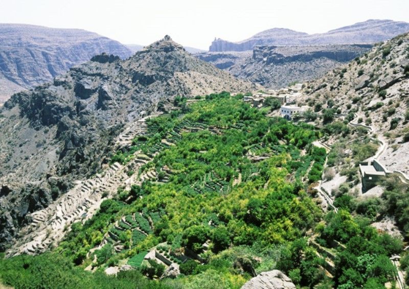 A LA RENCONTRE D 'OMAN pas cher photo 4