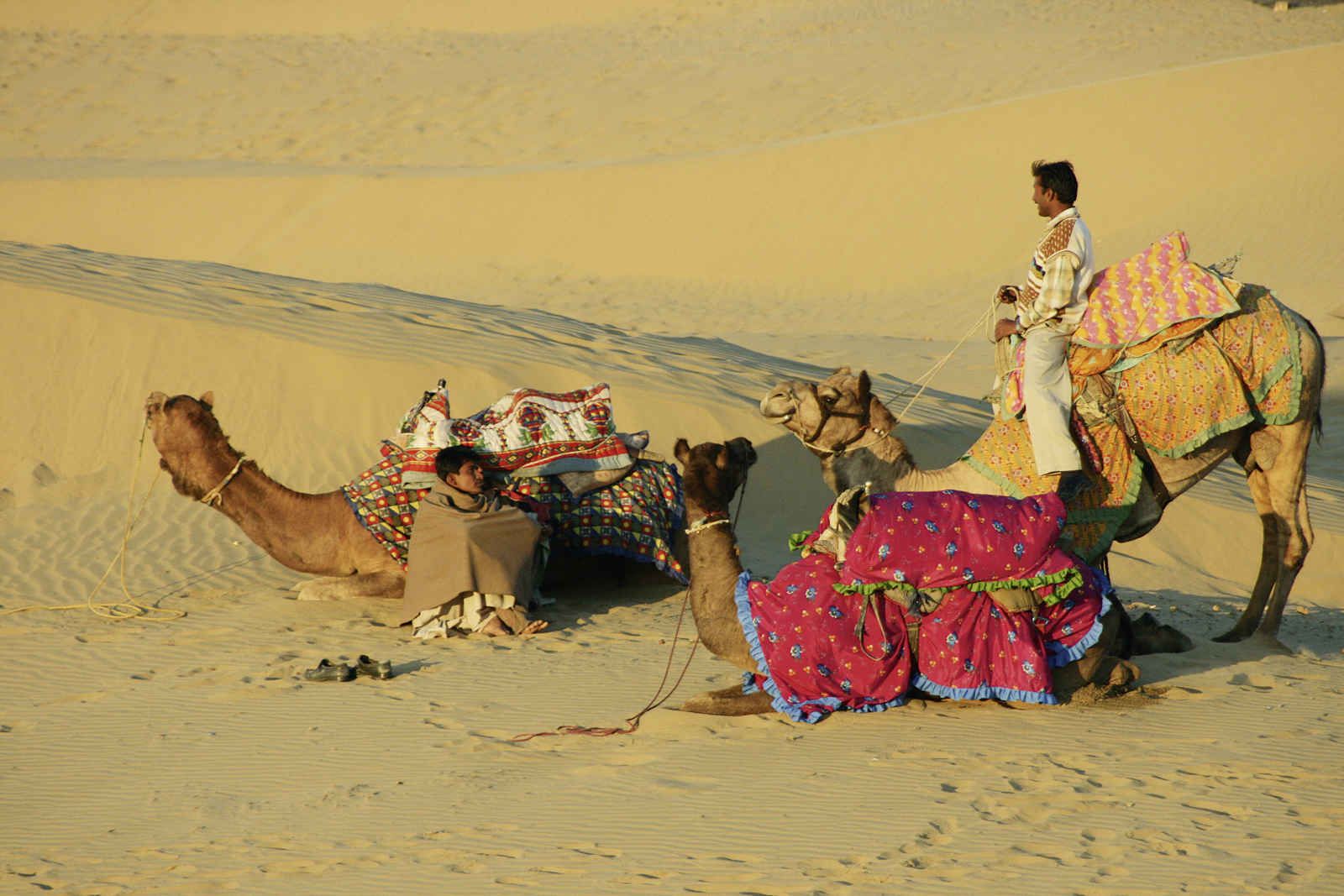 Toute l'Inde du nord pas cher photo 2