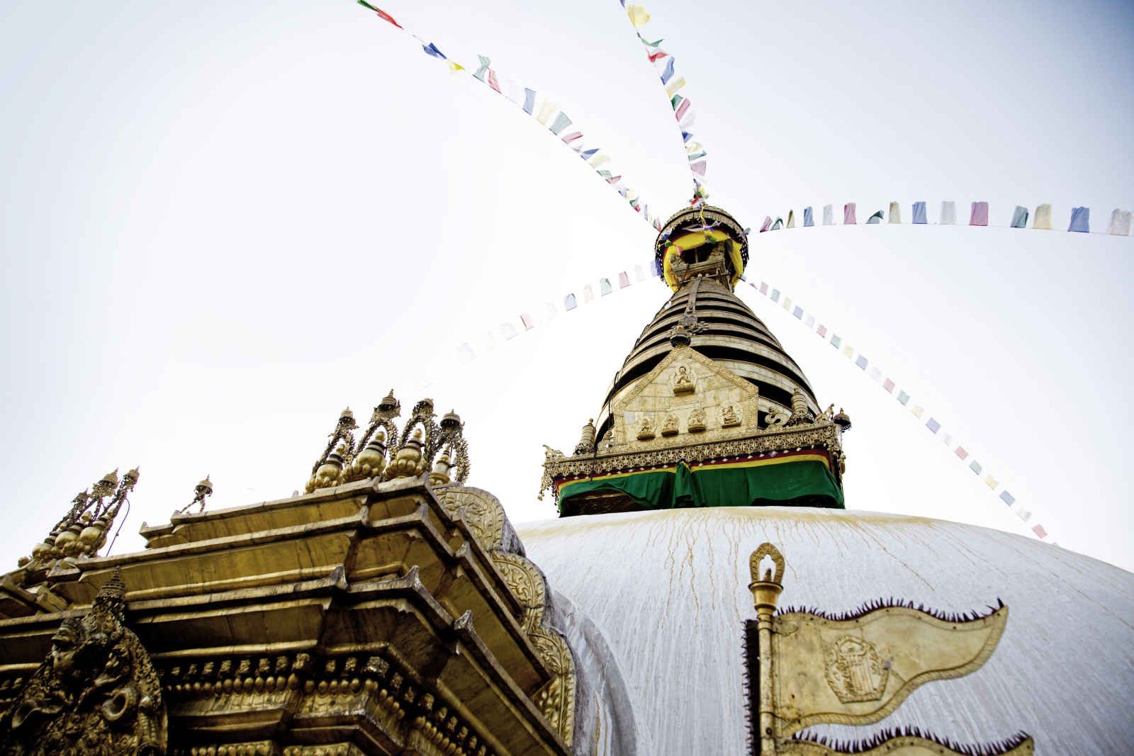 Toute l'Inde du nord pas cher photo 4