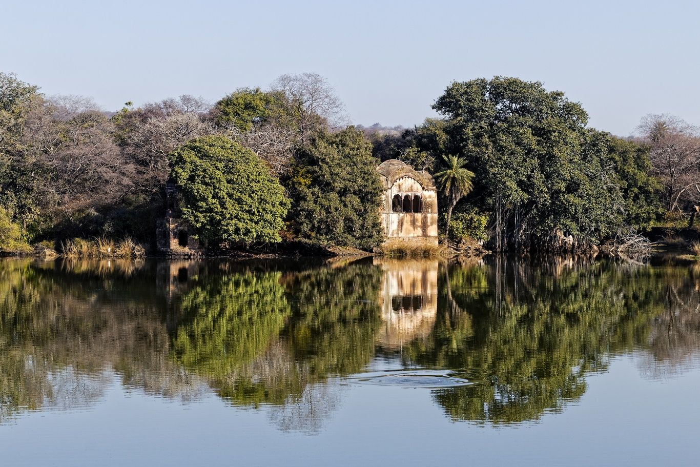 LES CHARMES DU RAJASTHAN - 12J/10N - Limité à 8 pers. - 2019/20 pas cher photo 10
