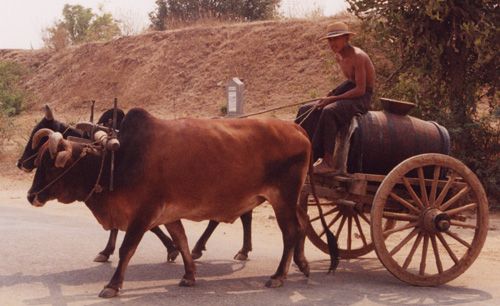 Les Incontournables de la Birmanie pas cher photo 5