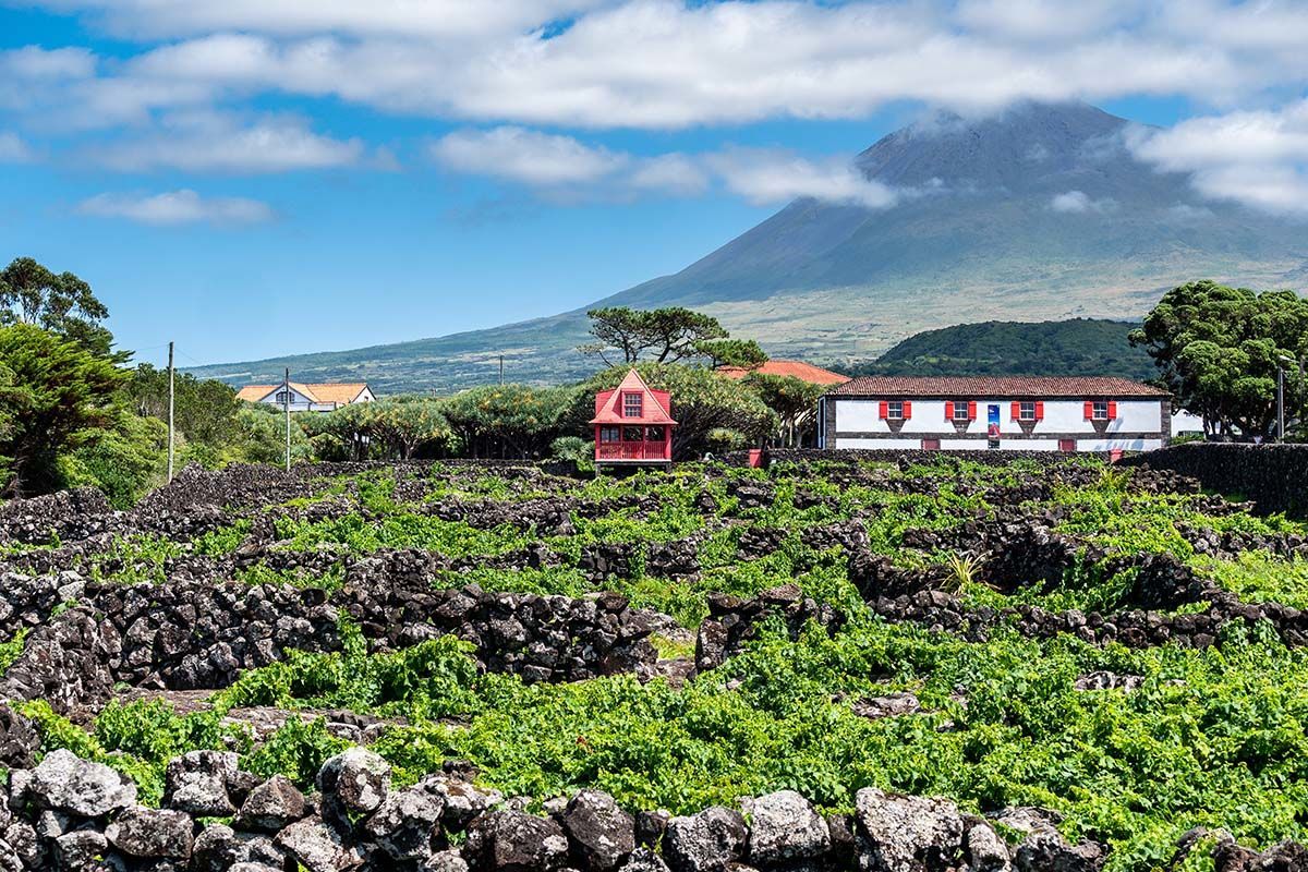 Circuit L'essentiel des Açores pas cher photo 1