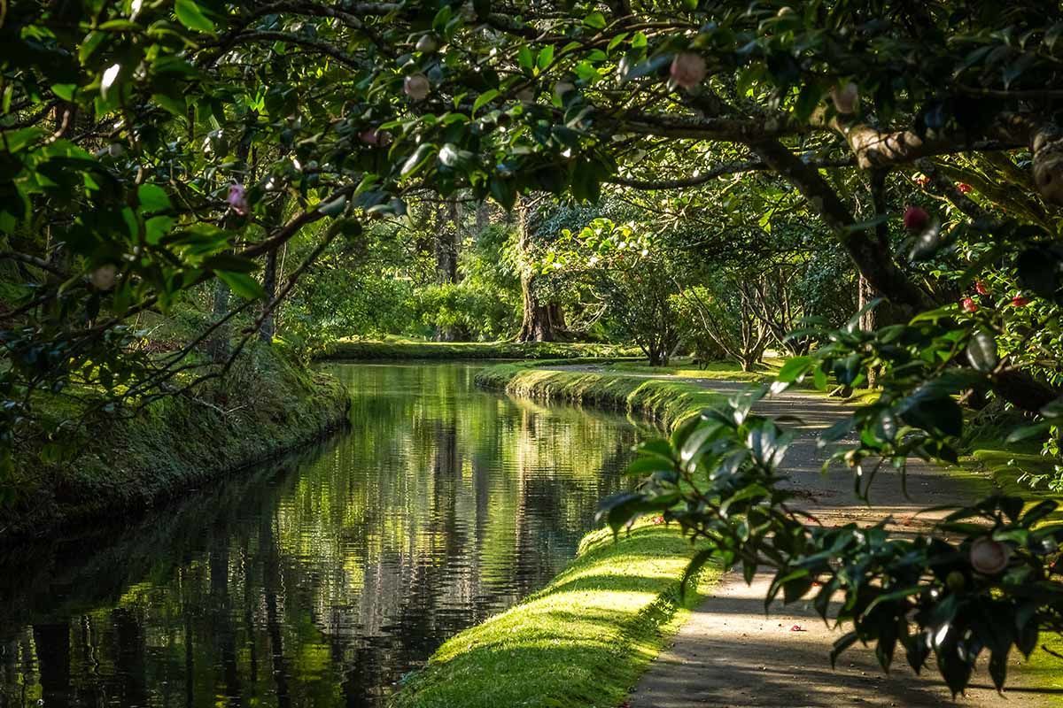 Circuit L'essentiel des Açores pas cher photo 7