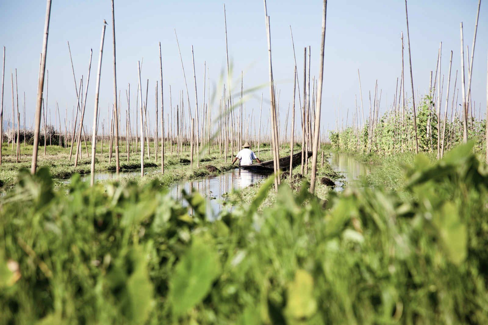 Myanmar express pas cher photo 4