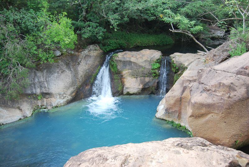 TENTATRICE NATURE pas cher photo 4