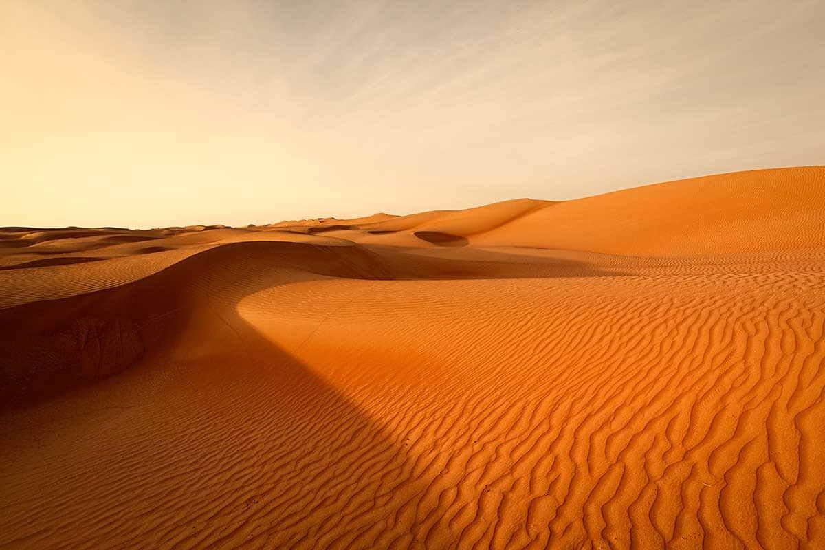 Circuit Entre mer et désert pas cher photo 9