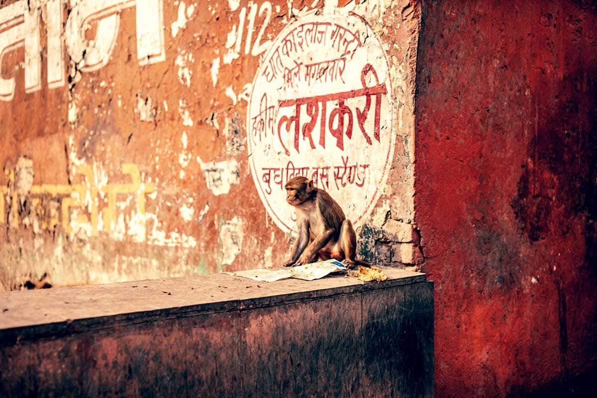 Circuit L'Inde plurielle pas cher photo 10