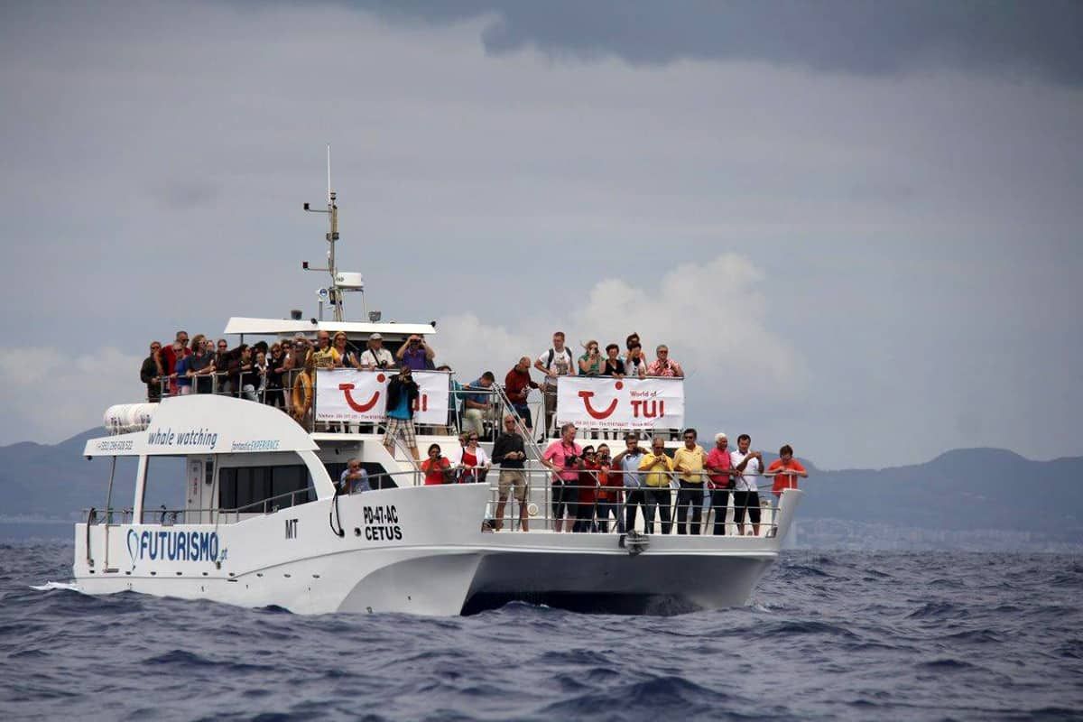 Circuit Les Açores, l'archipel féerique pas cher photo 3