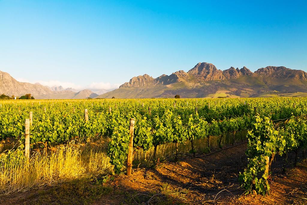 Les Immanquables de l'Afrique du sud pas cher photo 3
