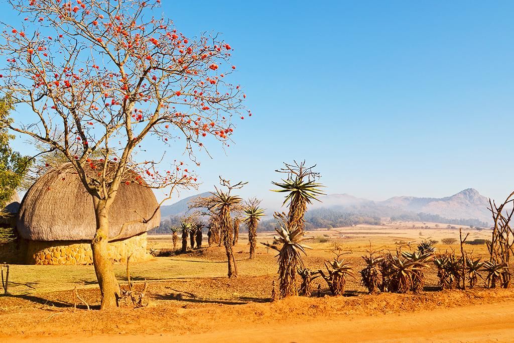 Les Immanquables de l'Afrique du sud pas cher photo 11