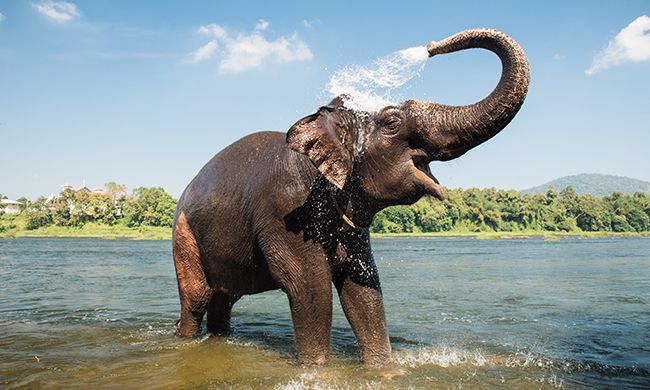 CONFIDENTIEL INDE DU RAJASTHAN AU KERALA pas cher photo 3