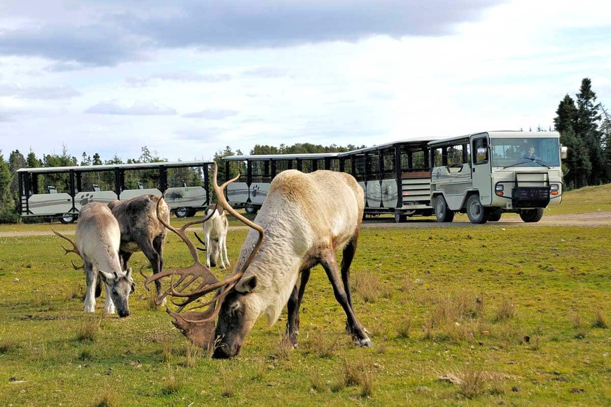 Circuit Au fil de l'eau en 13 jours pas cher photo 8