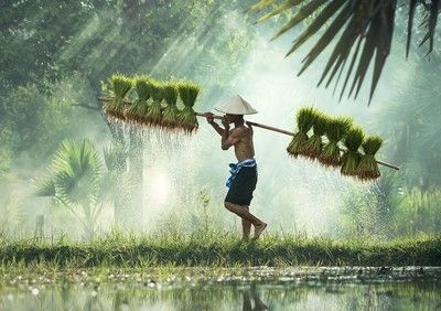 Laos Authentique en privatif pas cher photo 4