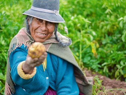 Circuit Couleurs d'Equateur pas cher photo 6