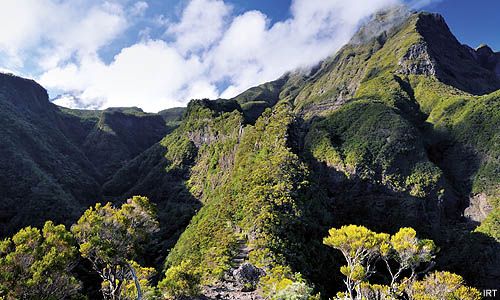 INDISPENSABLE REUNION pas cher photo 4