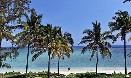 INDISPENSABLE REUNION pas cher photo 9