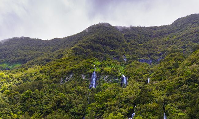 INDISPENSABLE REUNION pas cher photo 11