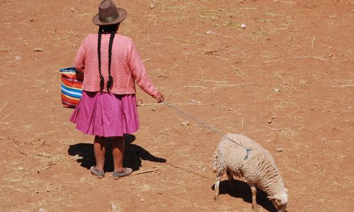 INDISPENSABLE PEROU pas cher photo 2