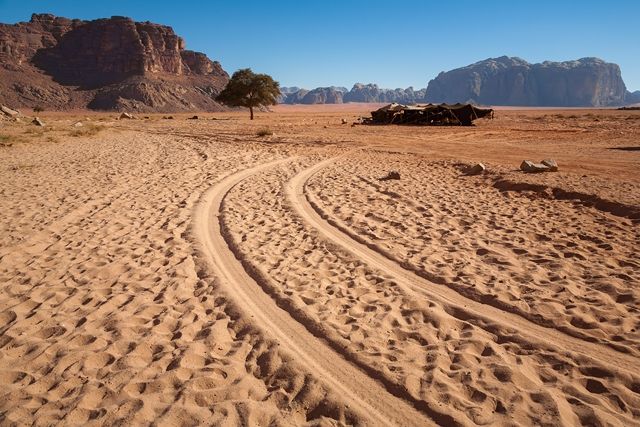 Splendeurs de Jordanie & extension Mer Morte 11J/10N - Hôtels 4* - 2020 pas cher photo 2