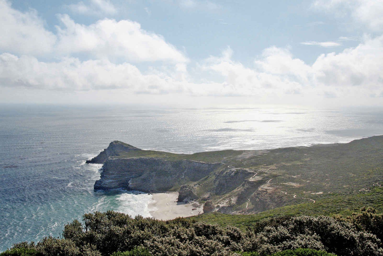 Sud Africana pas cher photo 8