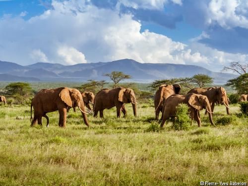 Circuit Grandeurs et magie d'Afrique du Sud pas cher photo 5