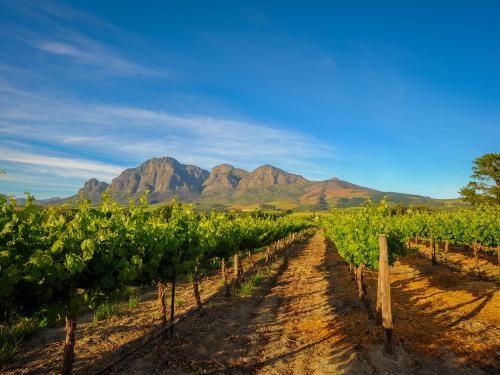 Circuit Grandeurs et magie d'Afrique du Sud pas cher photo 7