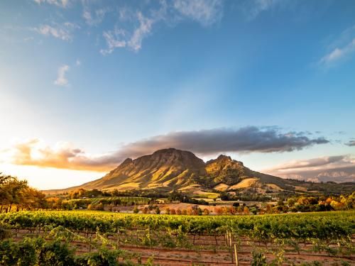Circuit Grandeurs et magie d'Afrique du Sud pas cher photo 8