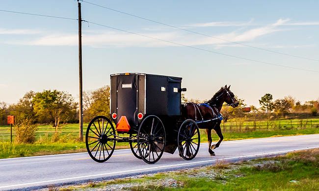 INDISPENSABLE COTE EST + NEW YORK pas cher photo 3