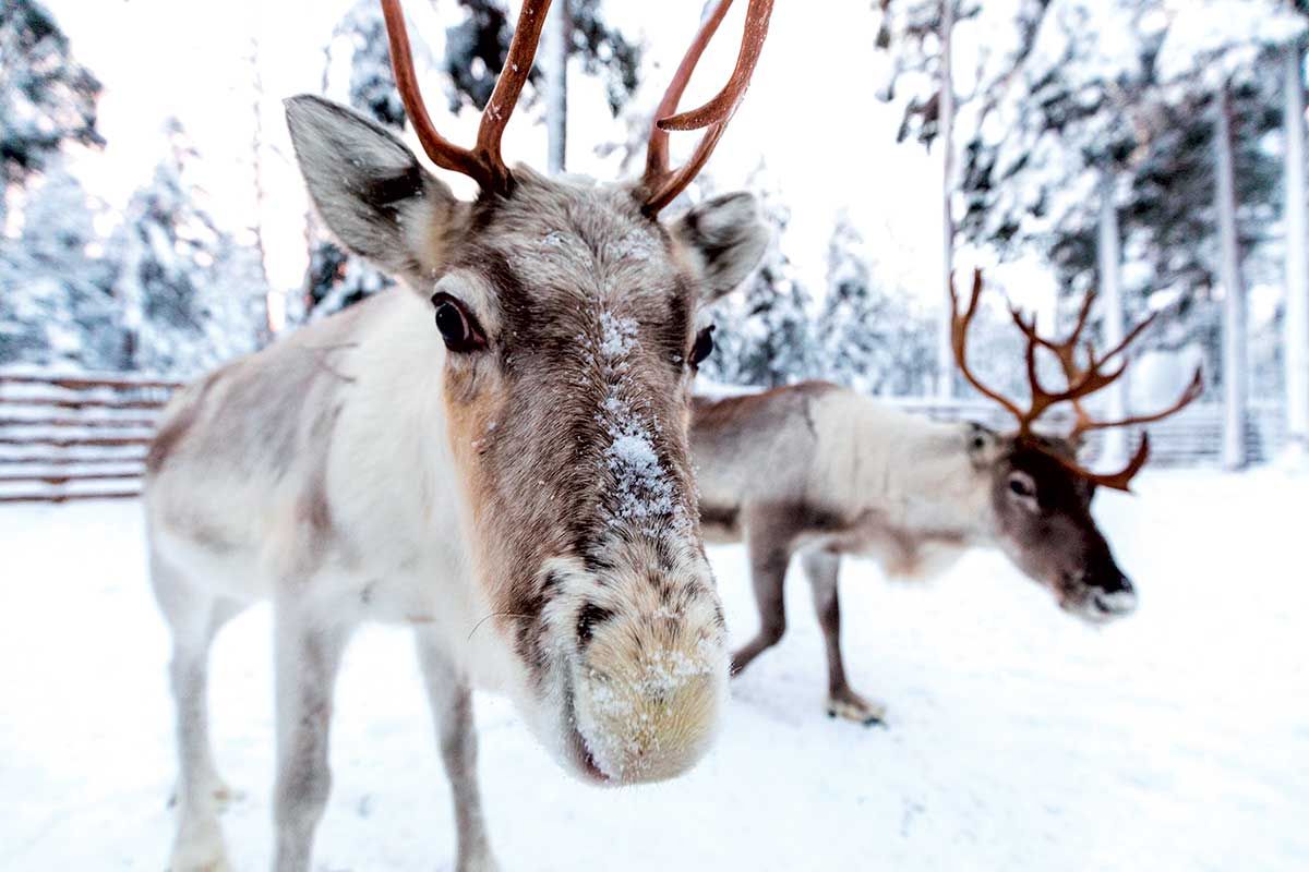 Circuit Odyssée scandinave pas cher photo 4