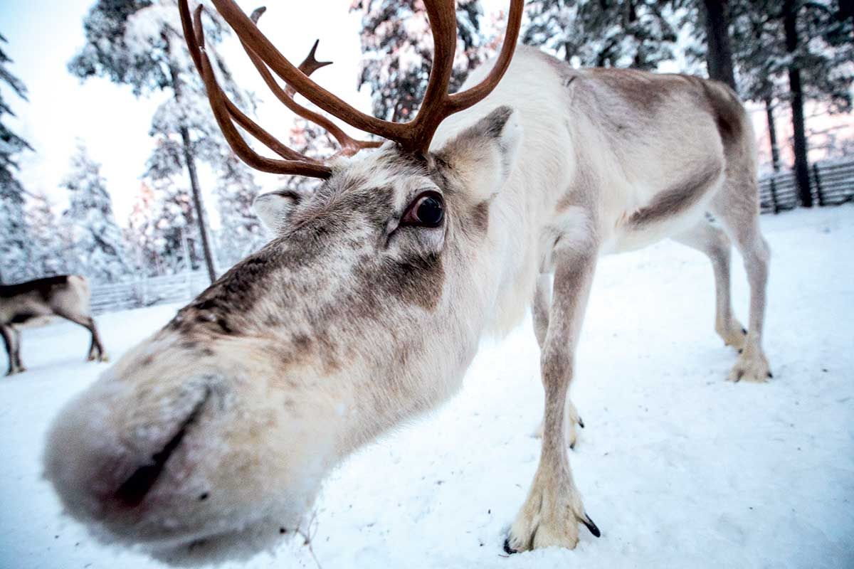 Circuit Odyssée scandinave pas cher photo 5