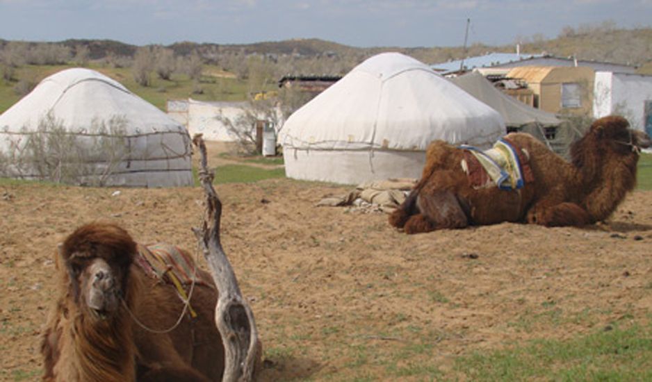 A TRAVERS LA ROUTE DE LA SOIE pas cher photo 10