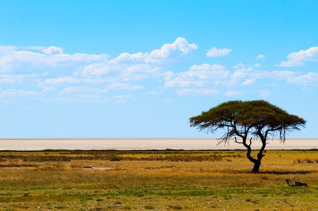 L'Essentiel de la Namibie en campements pas cher photo 4