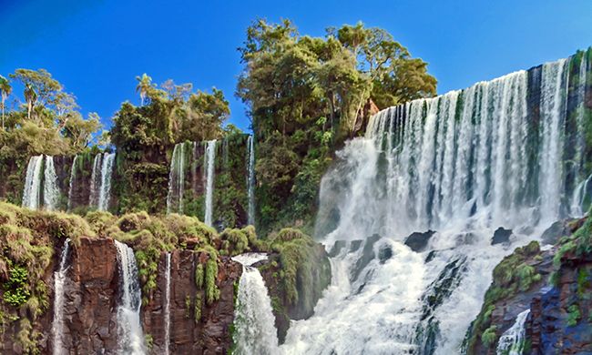 INDISPENSABLE BRESIL pas cher photo 11