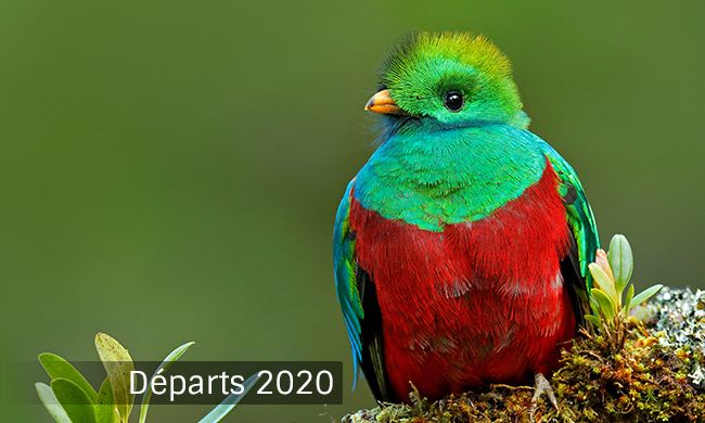 INDISPENSABLE COSTA RICA pas cher photo 1